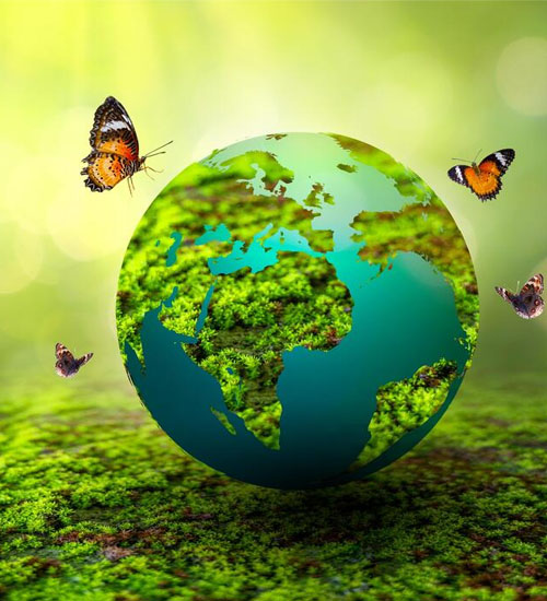 Environment