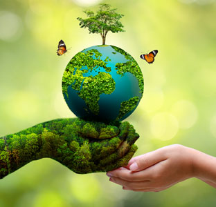 Ecology Climate Solutions