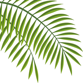 Decorative Shape